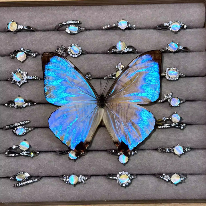 Glowing Night Pearl  Real Blue Morpho Wing Ring - Handmade Nature Specimen Jewelry, Adjustable Open Band, Enchanting Birthday Gift for Her, Aesthetic Treasure