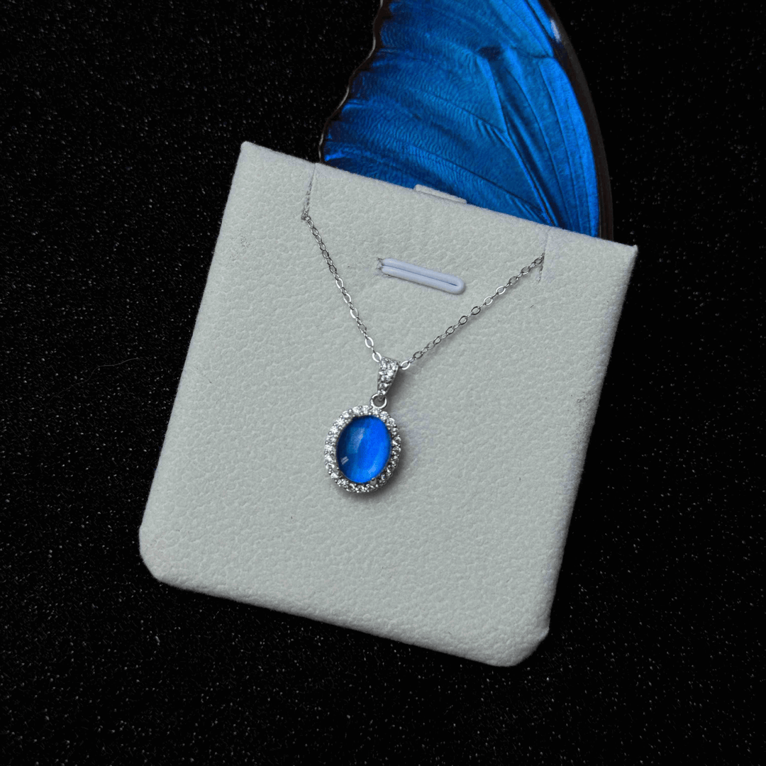 Handcrafted Butterfly Specimen Necklace  An Elegant Light Luxury Gift for Your Girlfriend or Close Female Companion