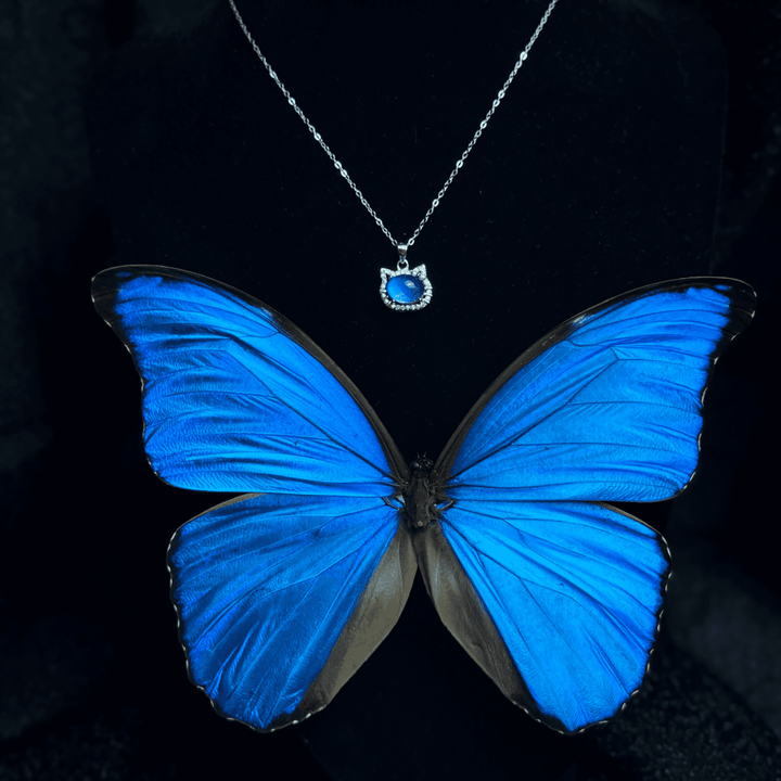 Real Blue Morpho Butterfly Wing Necklace in S925 Sterling Silver - Handmade Specimen Pendant, Unique Niche Gift for Her, Bestie Birthday Jewelry