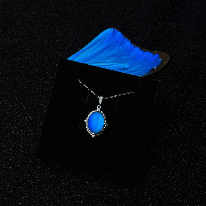 Handcrafted Butterfly Specimen Necklace  An Elegant Light Luxury Gift for Your Girlfriend or Close Female Companion