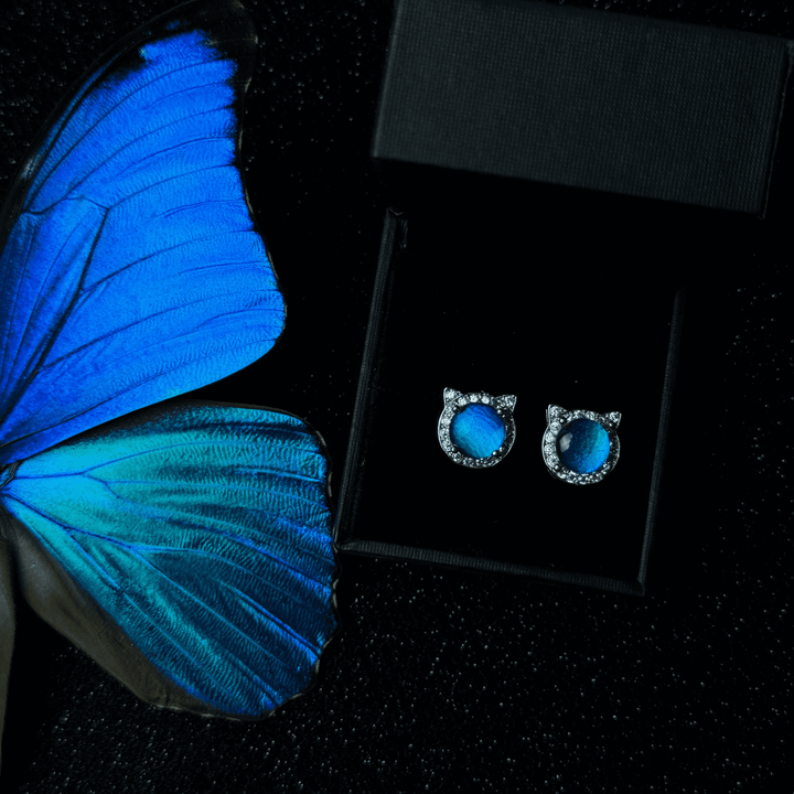 Handmade S925 Sterling Silver Real Blue Morpho Butterfly Wing Stud Earrings - Unique Specimen Jewelry Gift for Her