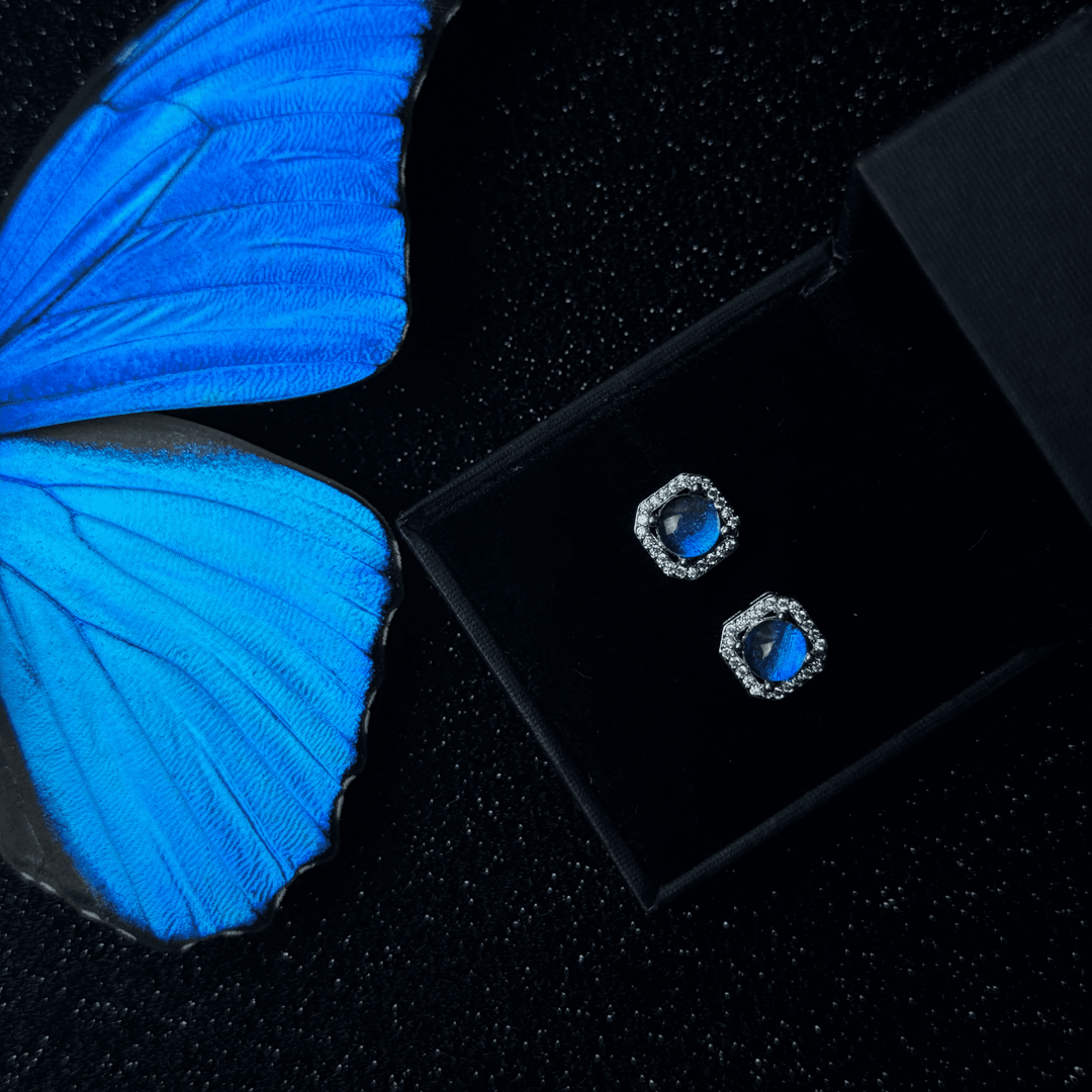 Handmade S925 Sterling Silver Real Blue Morpho Butterfly Wing Stud Earrings - Unique Specimen Jewelry Gift for Her